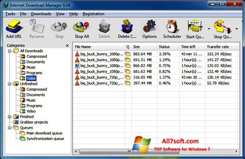 スクリーンショット Internet Download Manager Windows 7版