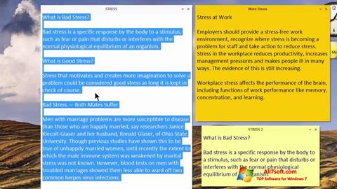 スクリーンショット Simple Sticky Notes Windows 7版