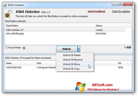 スクリーンショット IObit Unlocker Windows 7版
