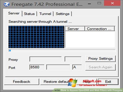 スクリーンショット Freegate Windows 7版
