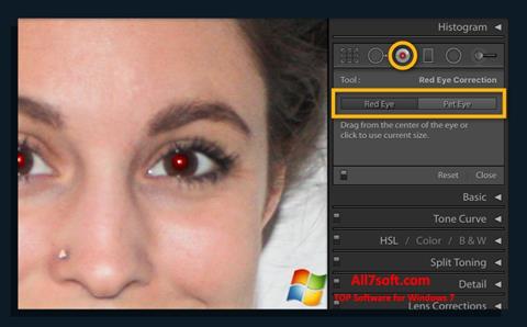 スクリーンショット Red Eye Remover Windows 7版